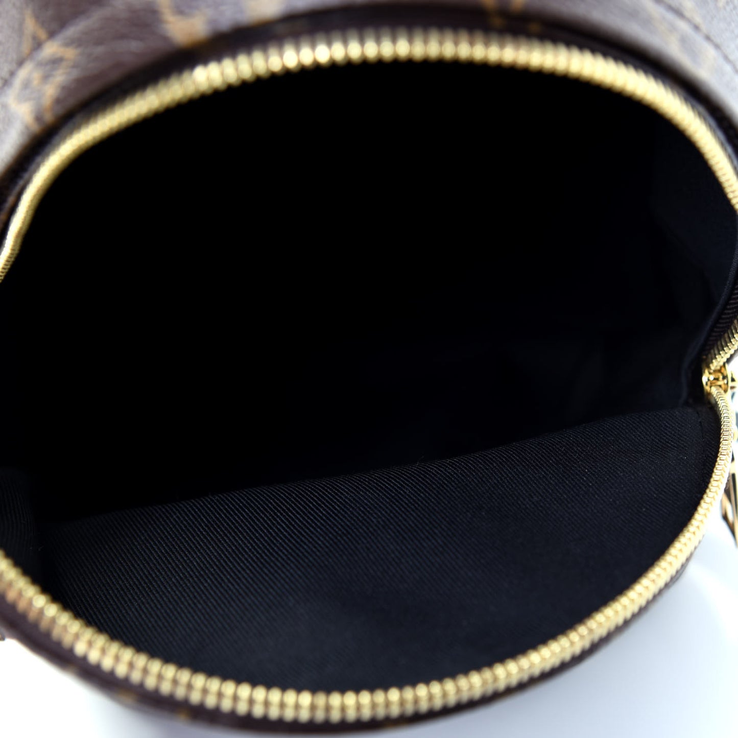 Monogram Palm Springs Backpack PM