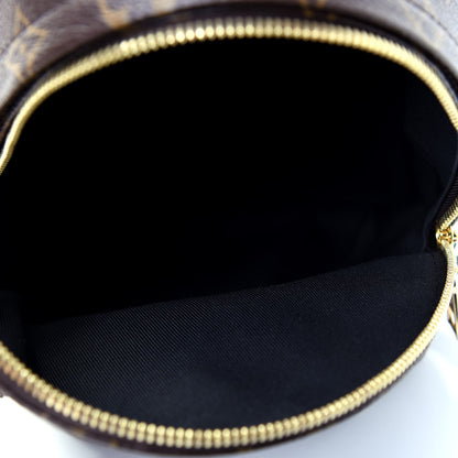 Louis Vuitton Monogram Palm Springs Backpack PM 4 of 14