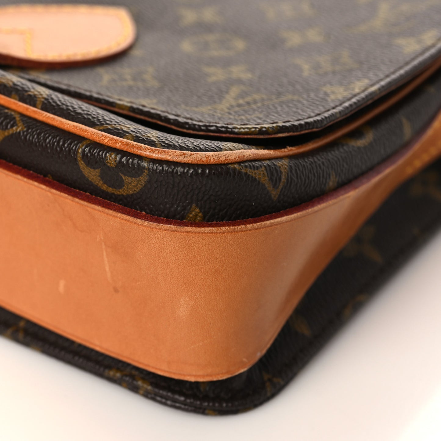 Monogram Cartouchiere 22