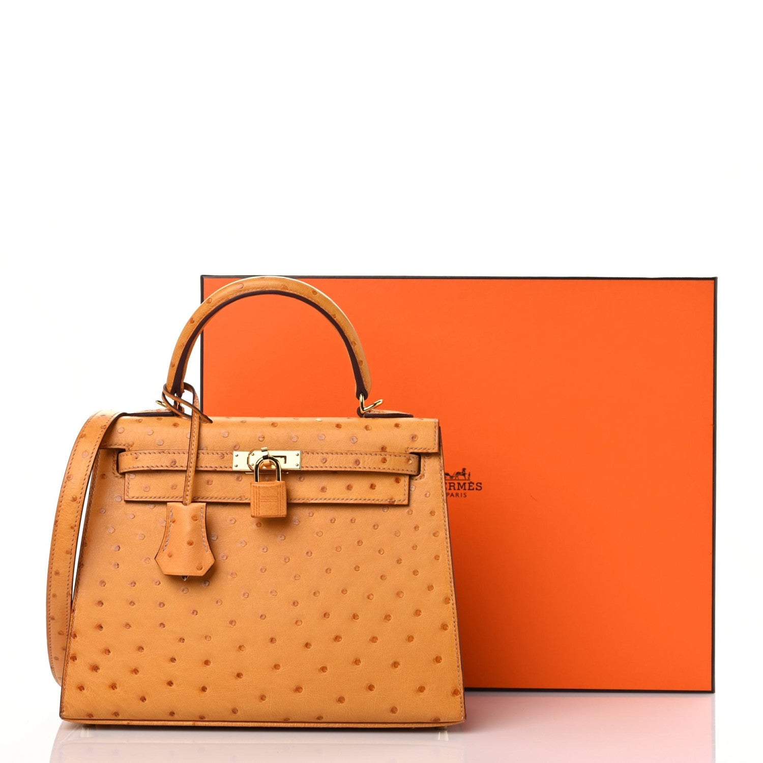 Hermes Ostrich Kelly Sellier 25 Saffron 10 of 10