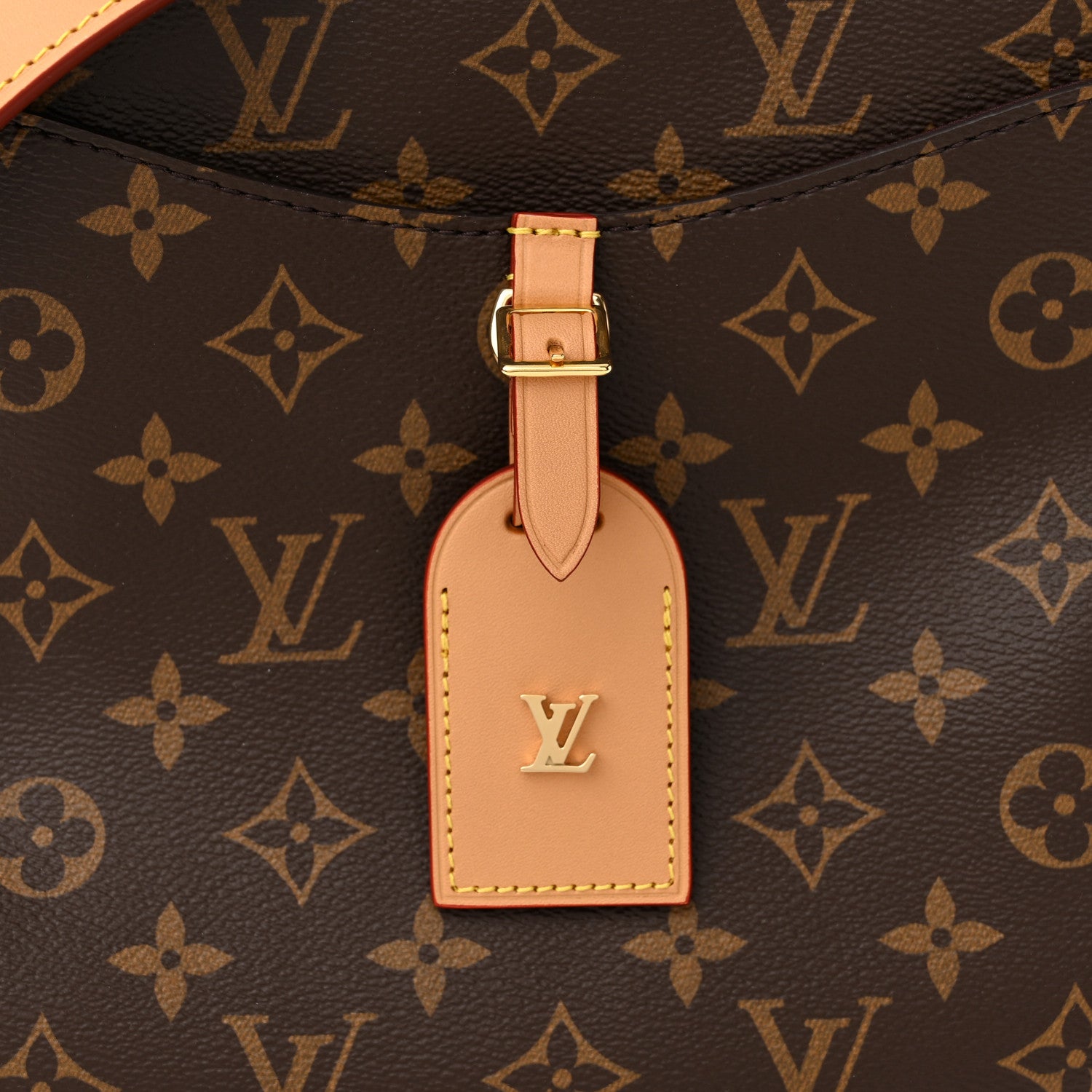 Louis Vuitton Monogram Odeon PM Natural 7 of 9