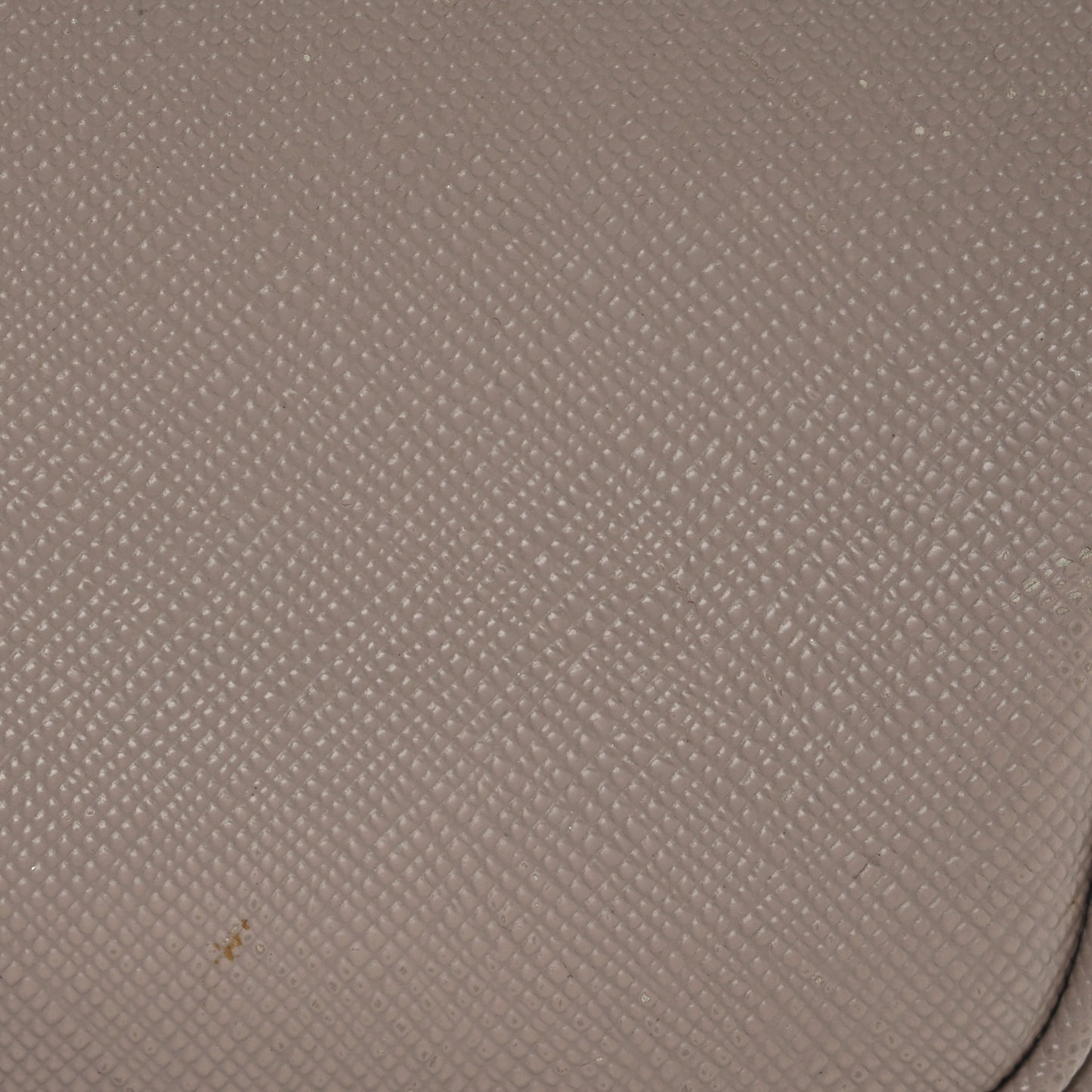 Saffiano Mini Camera Crossbody Bag Cammeo