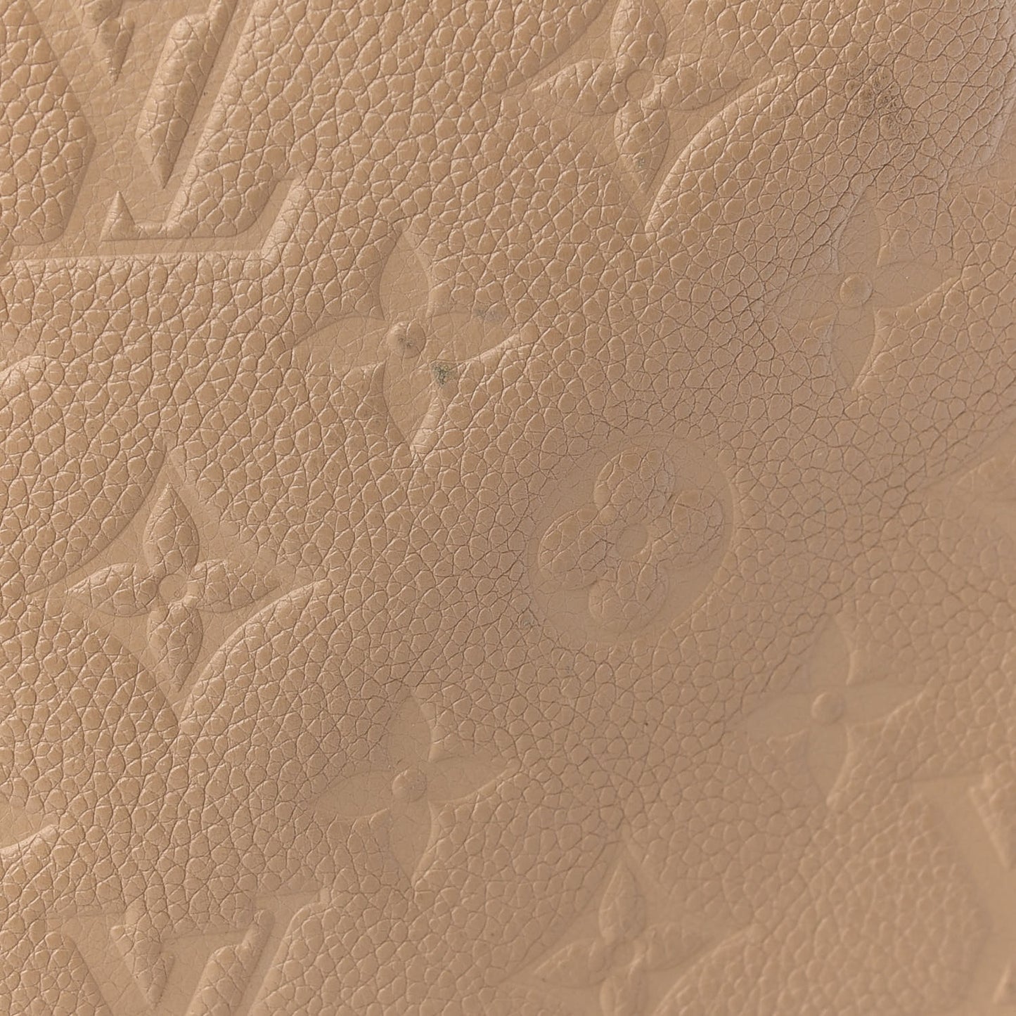 Empreinte Bagatelle Dune
