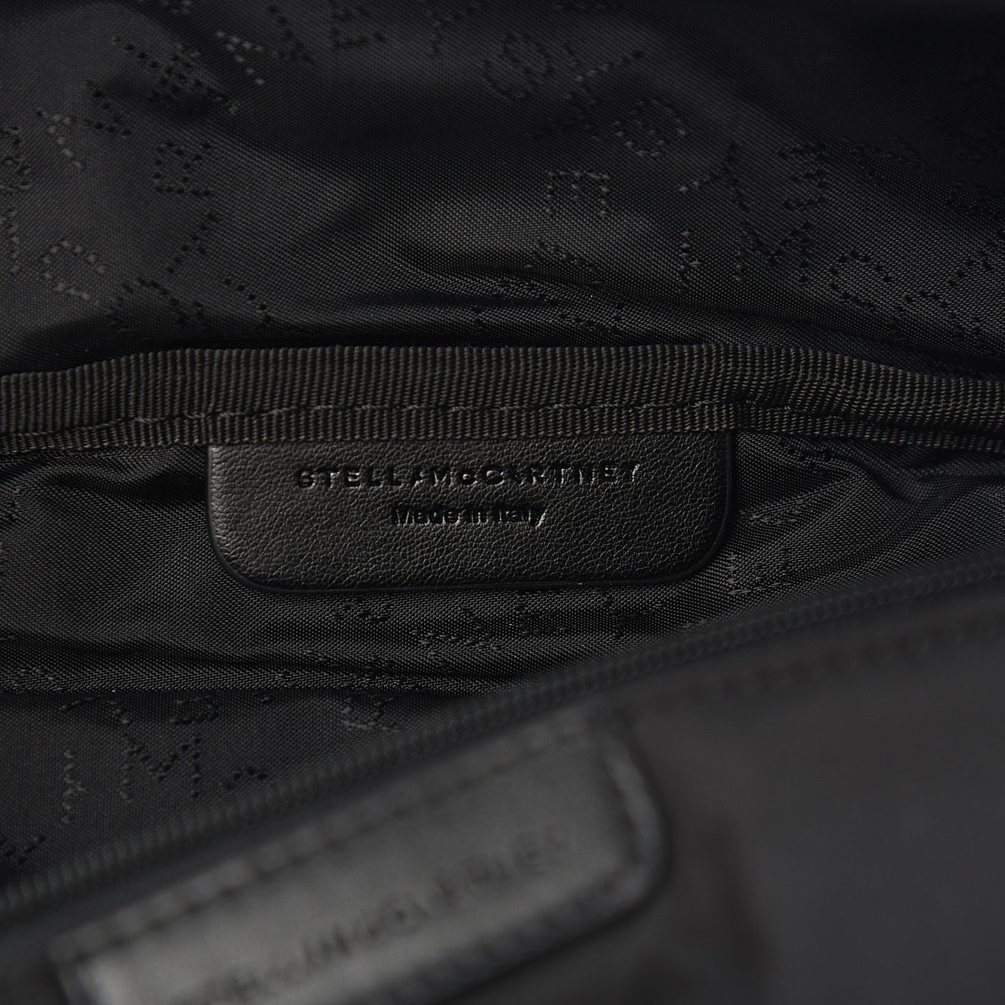 Eco Padde Nylon Logo Falabella Bum Bag Black Multicolor