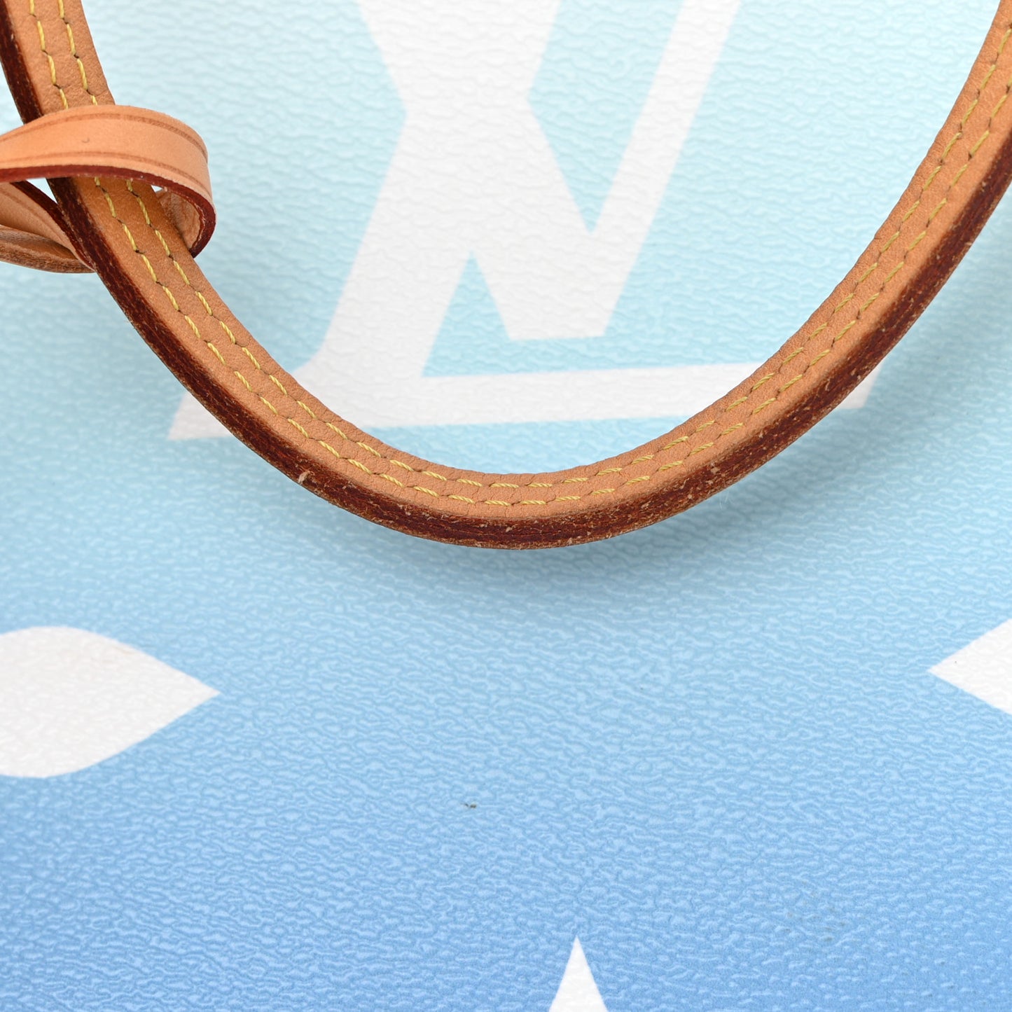 Monogram Giant By The Pool Neverfull MM Blue
