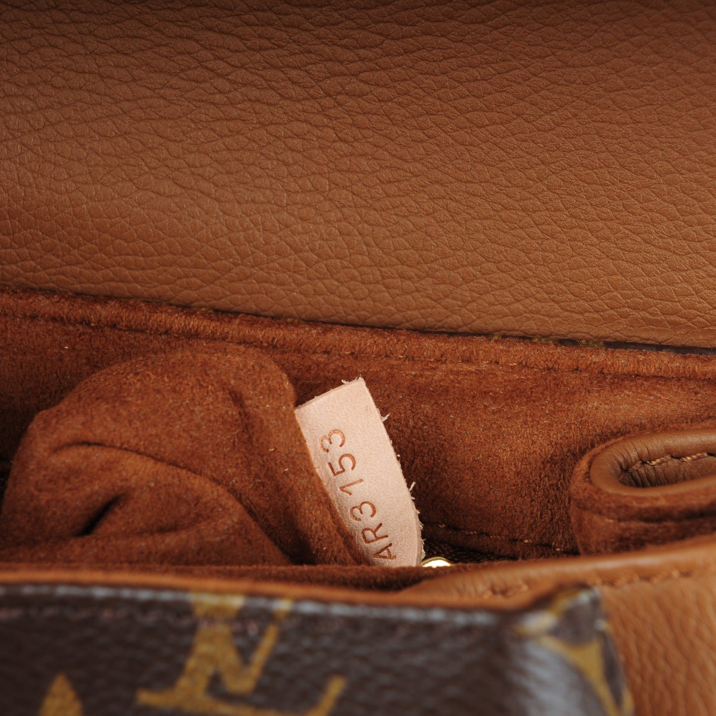 Monogram Eden MM Havane