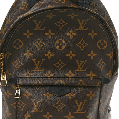 Louis Vuitton Monogram Palm Springs Backpack PM 8 of 10