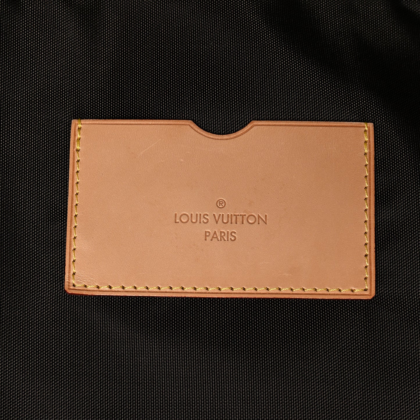 Monogram Pegase 55 Business