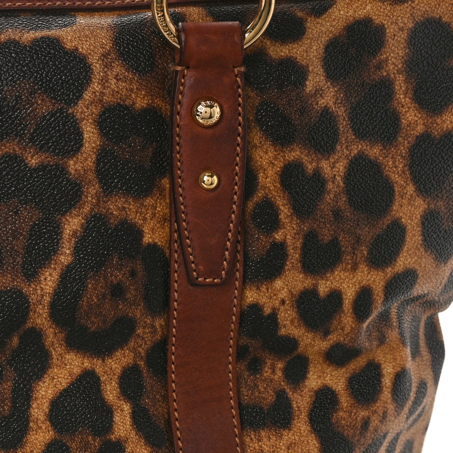 Coated Canvas Leopard Print Tote