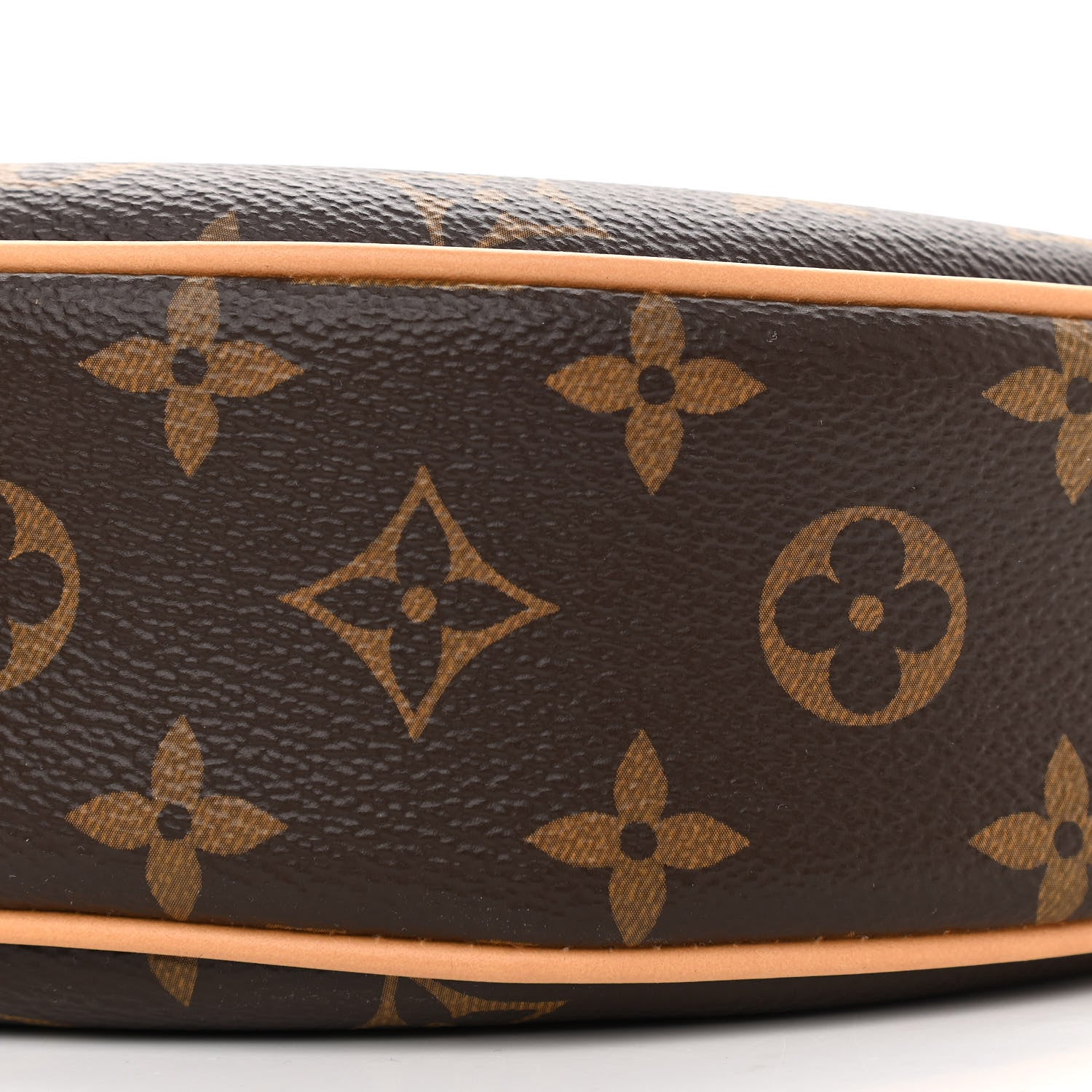 Louis Vuitton Monogram Loop 9 of 9