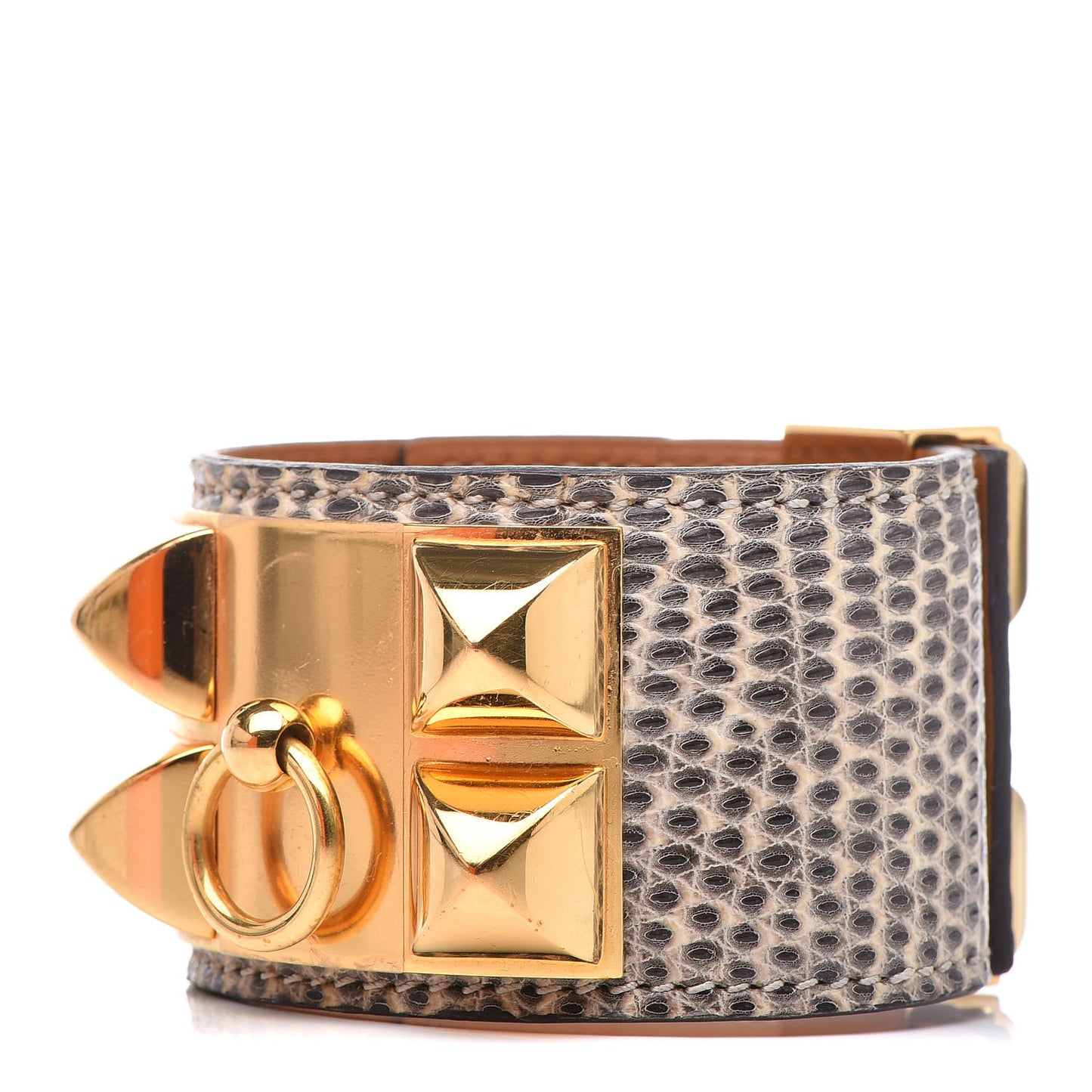 Lizard Collier De Chien CDC Bracelet T2 Ombre