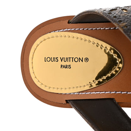 Louis Vuitton Monogram Sunny Flat Thong Sandals 37.5 Brown 6 of 8