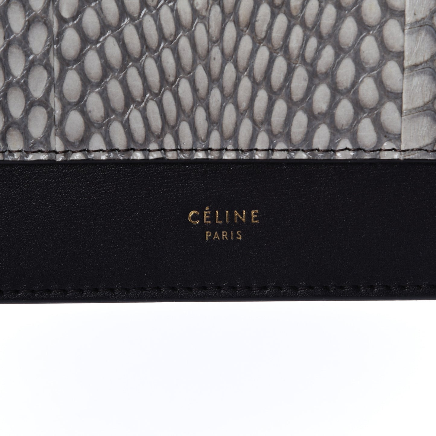 Cobra Shiny Calfskin Clutch On A Chain