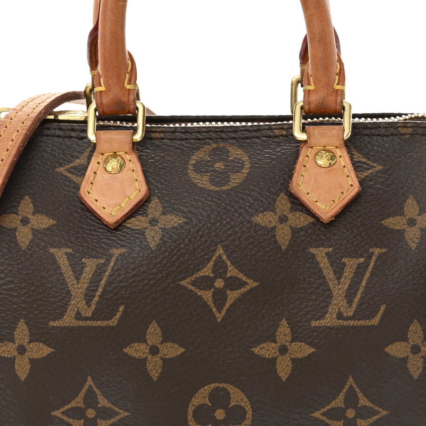 Monogram Nano Speedy