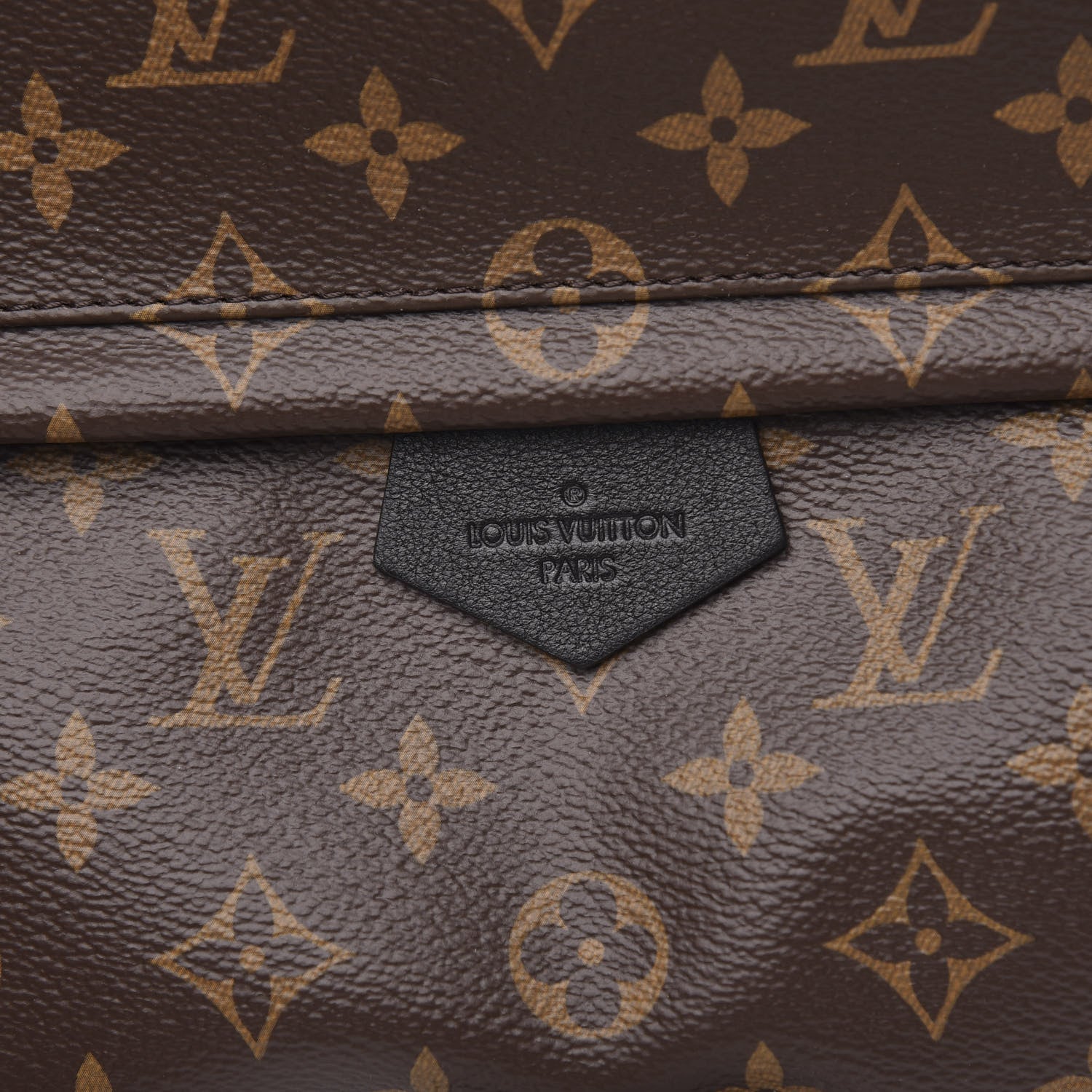 Louis Vuitton Monogram Palm Springs Backpack MM 6 of 9