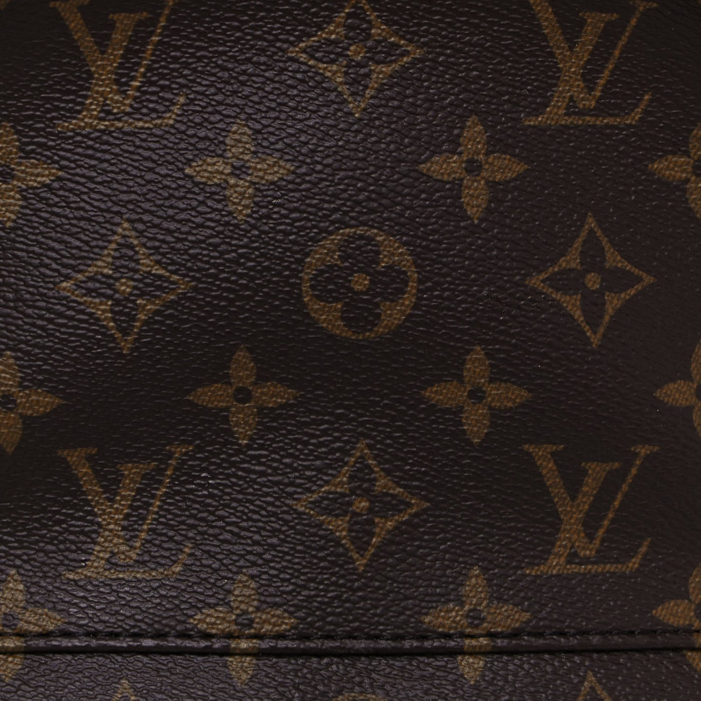 Monogram Palm Springs Backpack PM