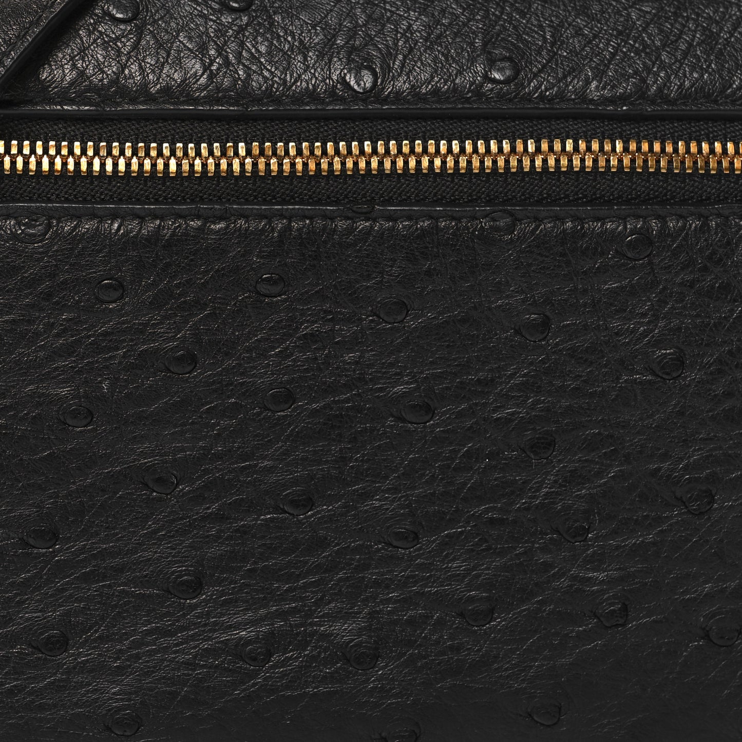 LORO PIANA Ostrich L19 Extra Pocket Pouch Black