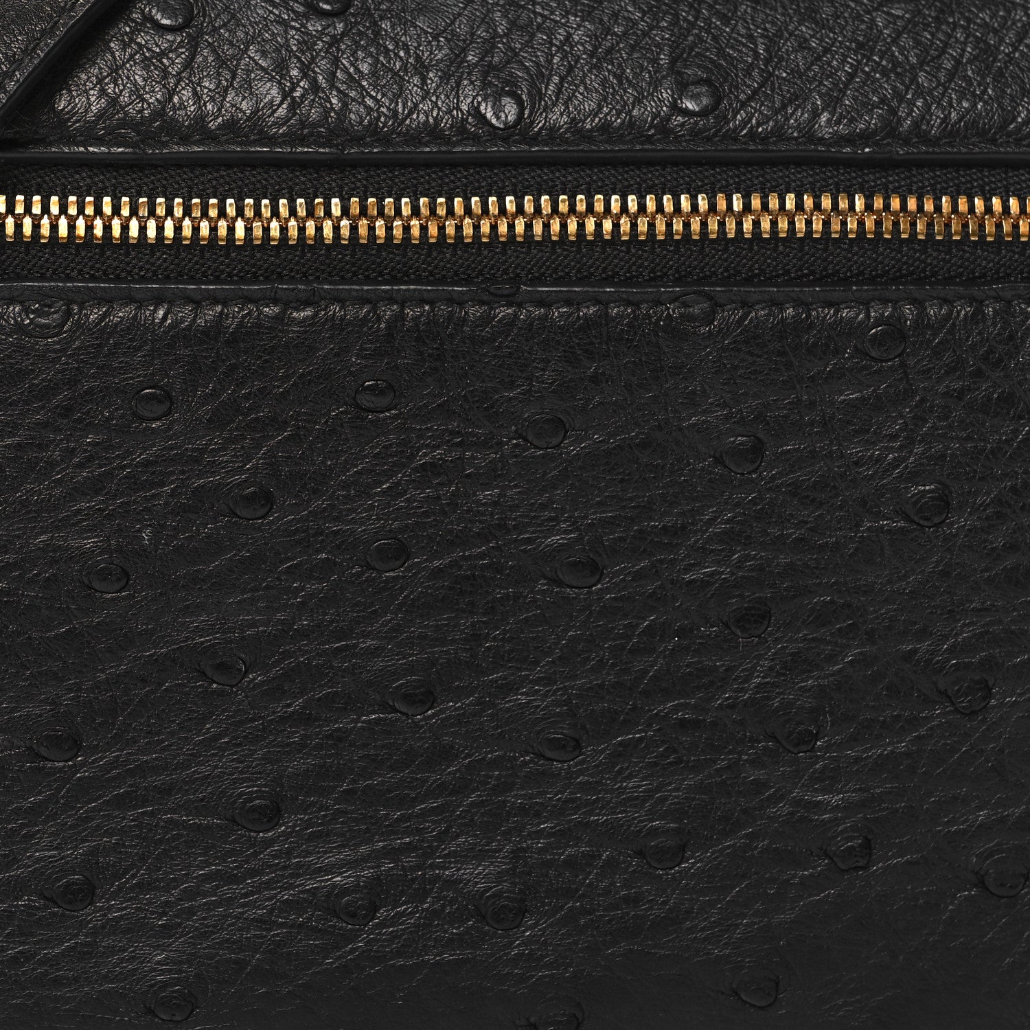 Loro Piana LORO PIANA Ostrich L19 Extra Pocket Pouch Black 7 of 11