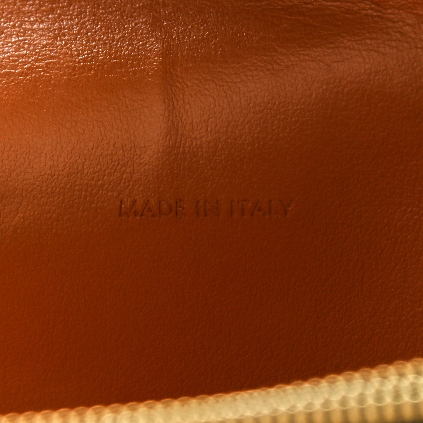 Triomphe Canvas Lambskin Wallet On Strap Tan