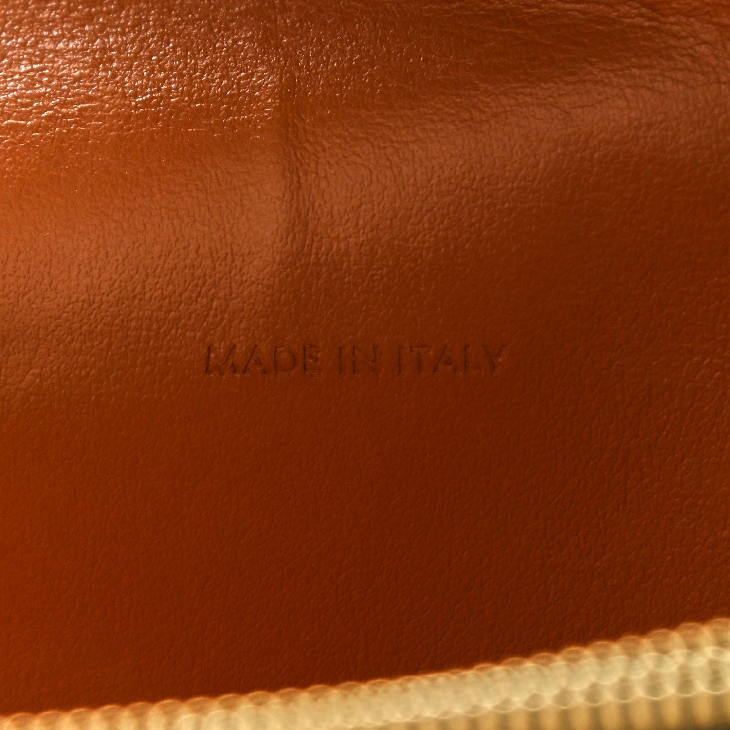 Celine Triomphe Canvas Lambskin Wallet On Strap Tan 7 of 13