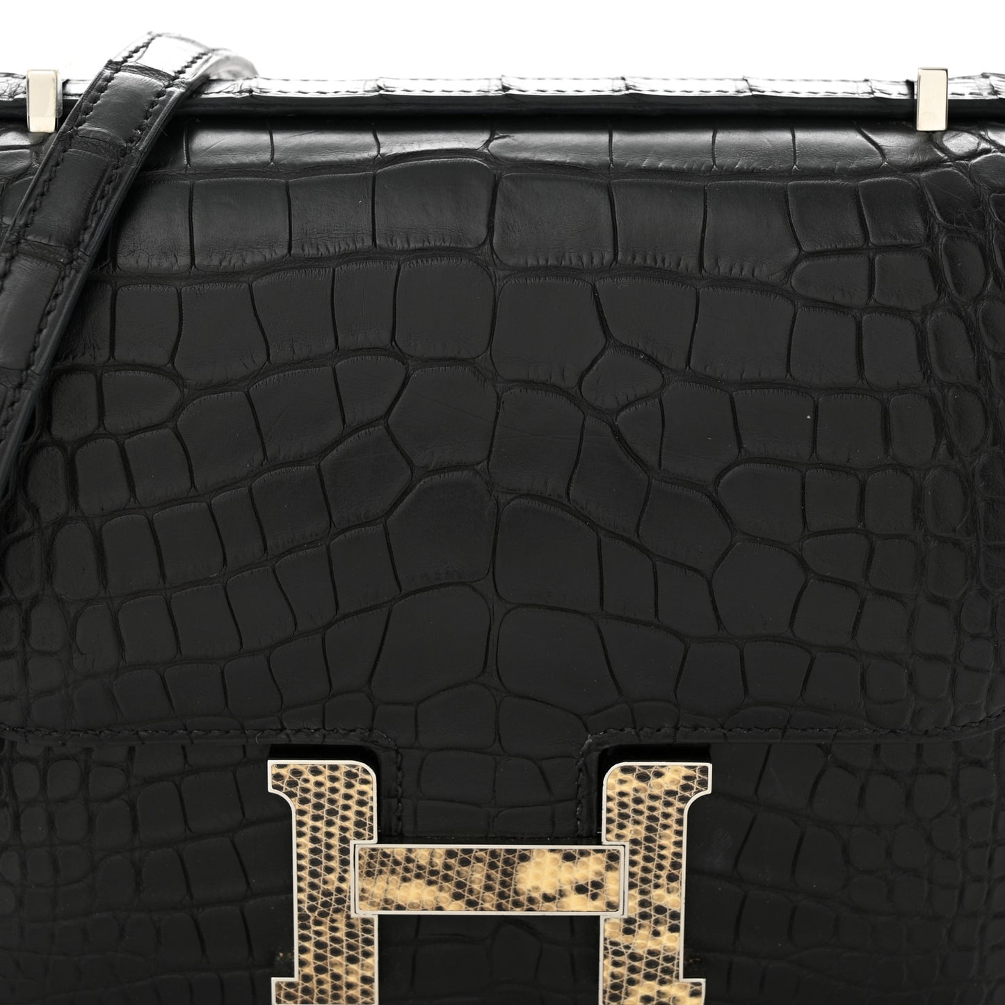 Matte Alligator Lizard Constance 18 Black Ombre