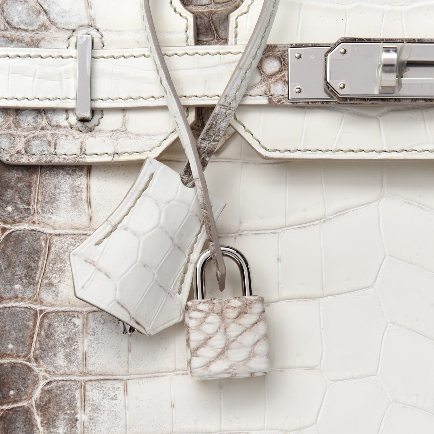 Matte Niloticus Crocodile Himalaya Birkin 30 Blanc