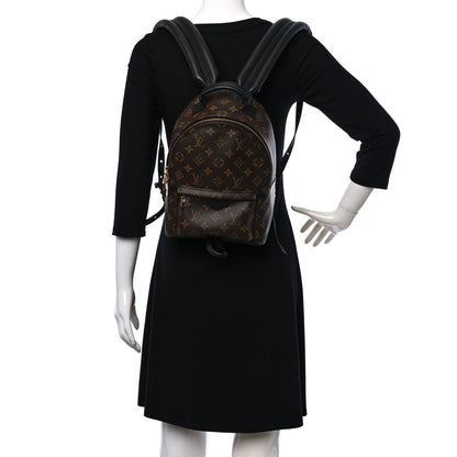 Louis Vuitton Monogram Palm Springs Backpack PM 2 of 8