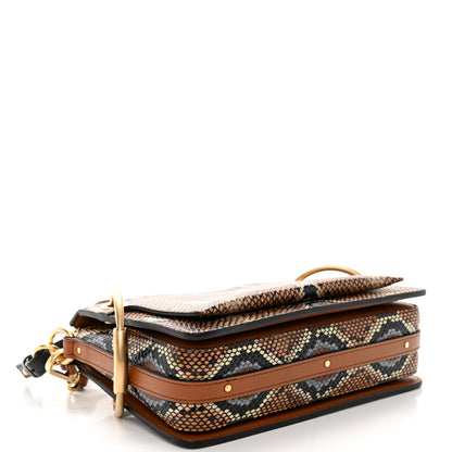 Chloe Calfskin Python Embossed Small Roy Bag Multicolor 4 of 11