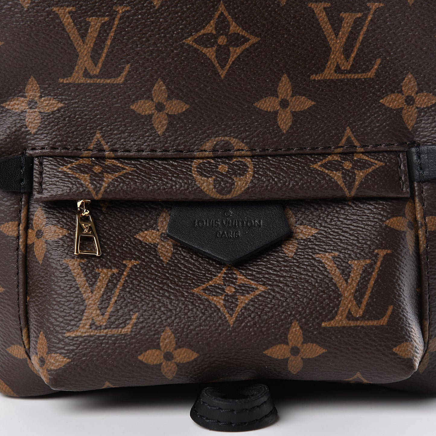 Monogram Palm Springs Backpack Mini