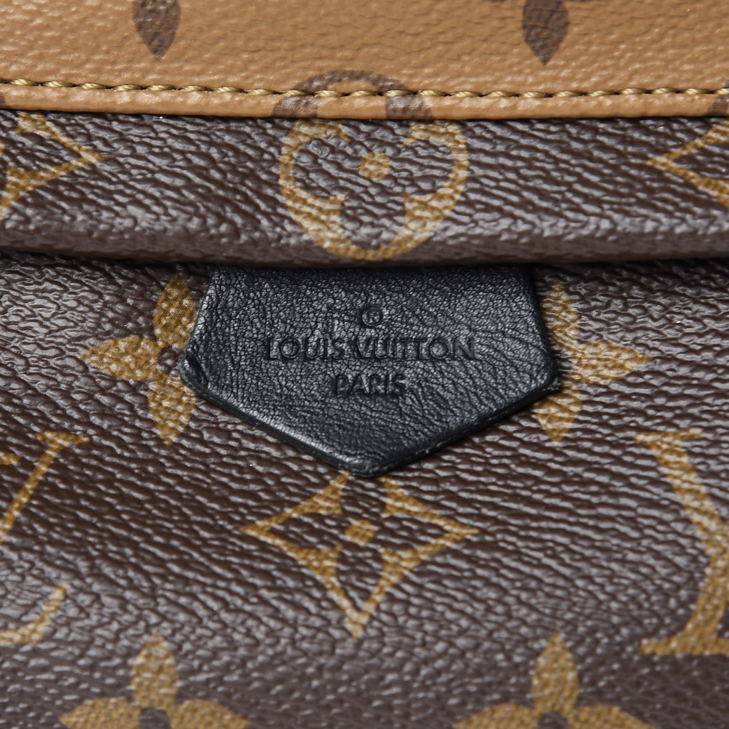 Reverse Monogram Palm Springs Backpack Mini