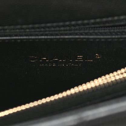 Chanel Caviar Lizard Quilted Small Coco Handle Flap Black 6 of 10