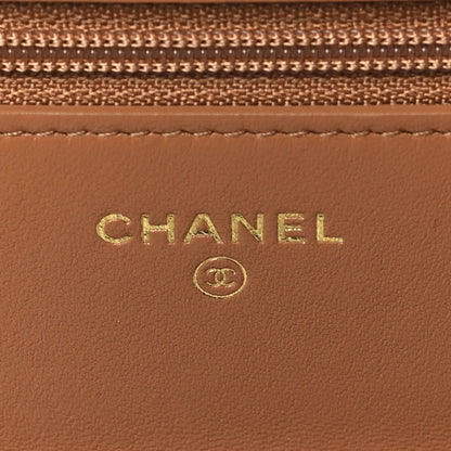 Chanel Lambskin Quilted Chanel 19 Wallet On Chain WOC Brown 6 of 11