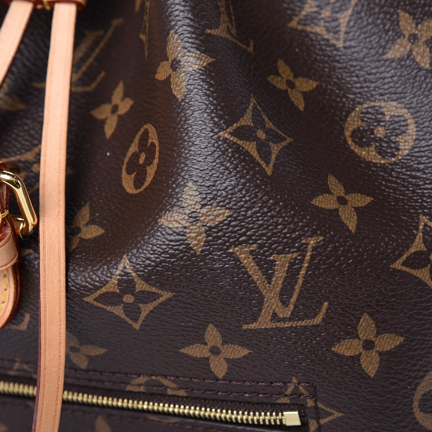 Monogram Montsouris NM Backpack