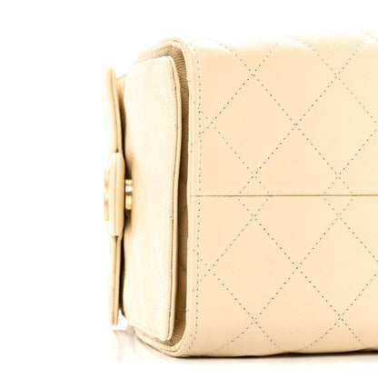Chanel Caviar Quilted Small Chanel 25 Handbag Light Beige 9 of 10