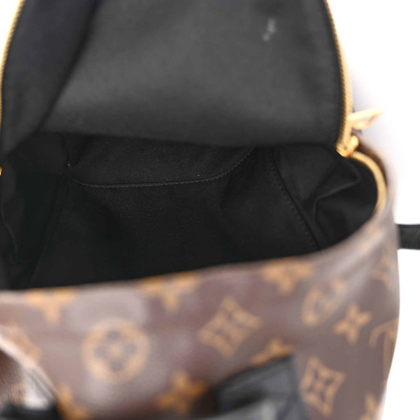 Monogram Palm Springs Backpack PM