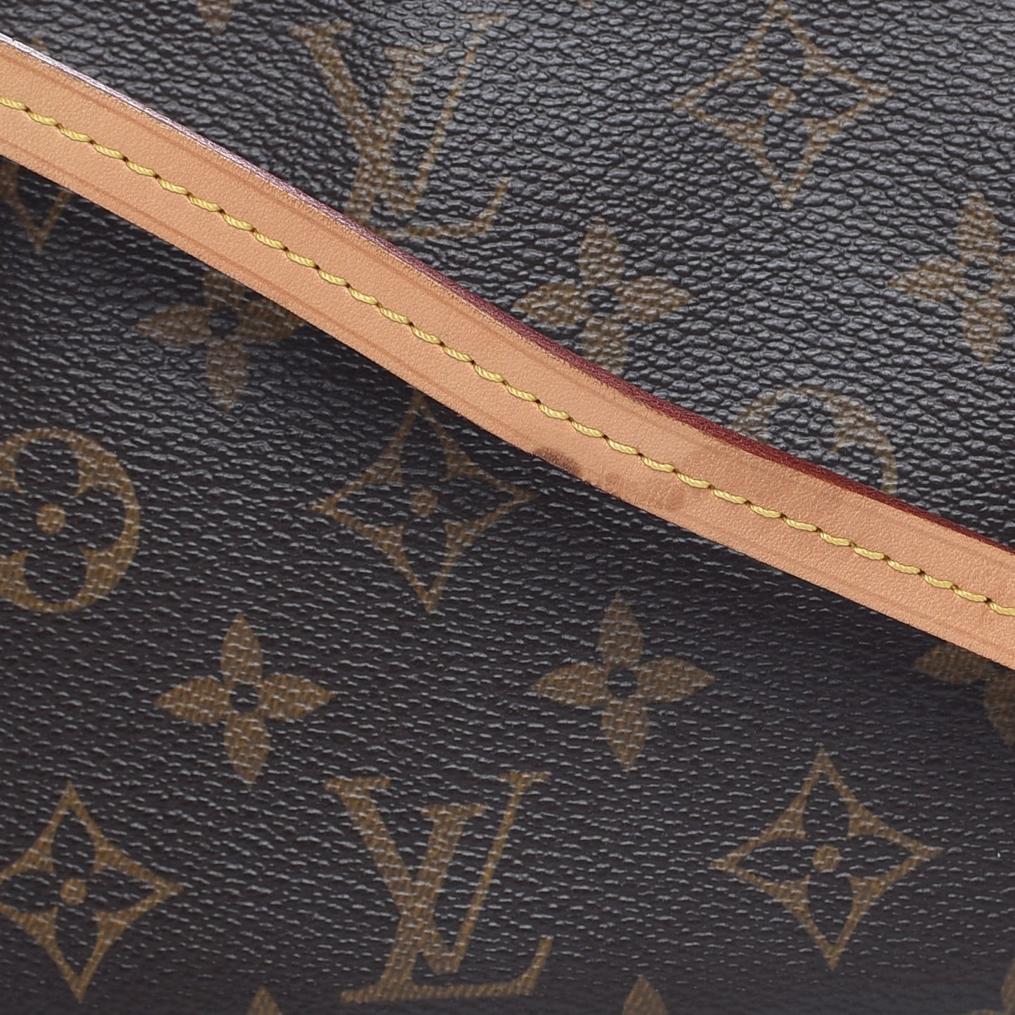 Monogram Pochette Accessories NM