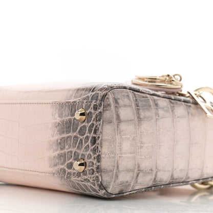 Christian Dior Niloticus Crocodile Himalaya Mini Lady Dior Rose 10 of 10