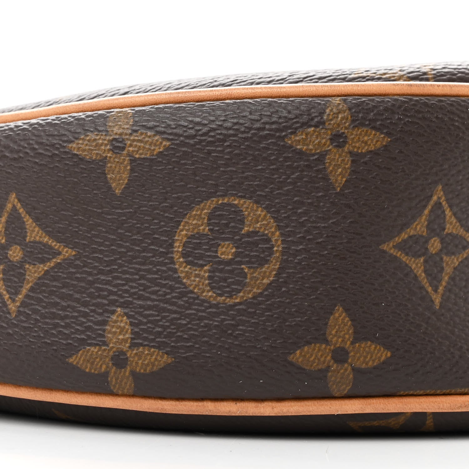 Louis Vuitton Monogram Loop 8 of 13