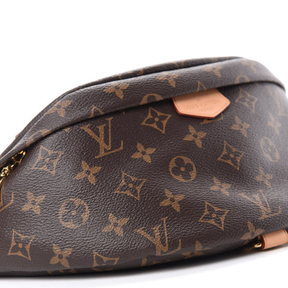 Louis Vuitton Monogram Bumbag 6 of 11
