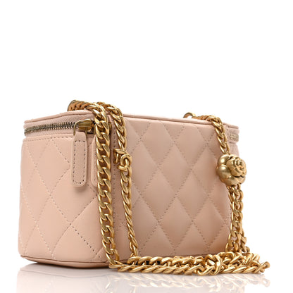 Chanel Lambskin Quilted Sweet Camellia Small Vanity Case With Chain Pink 3 of 10