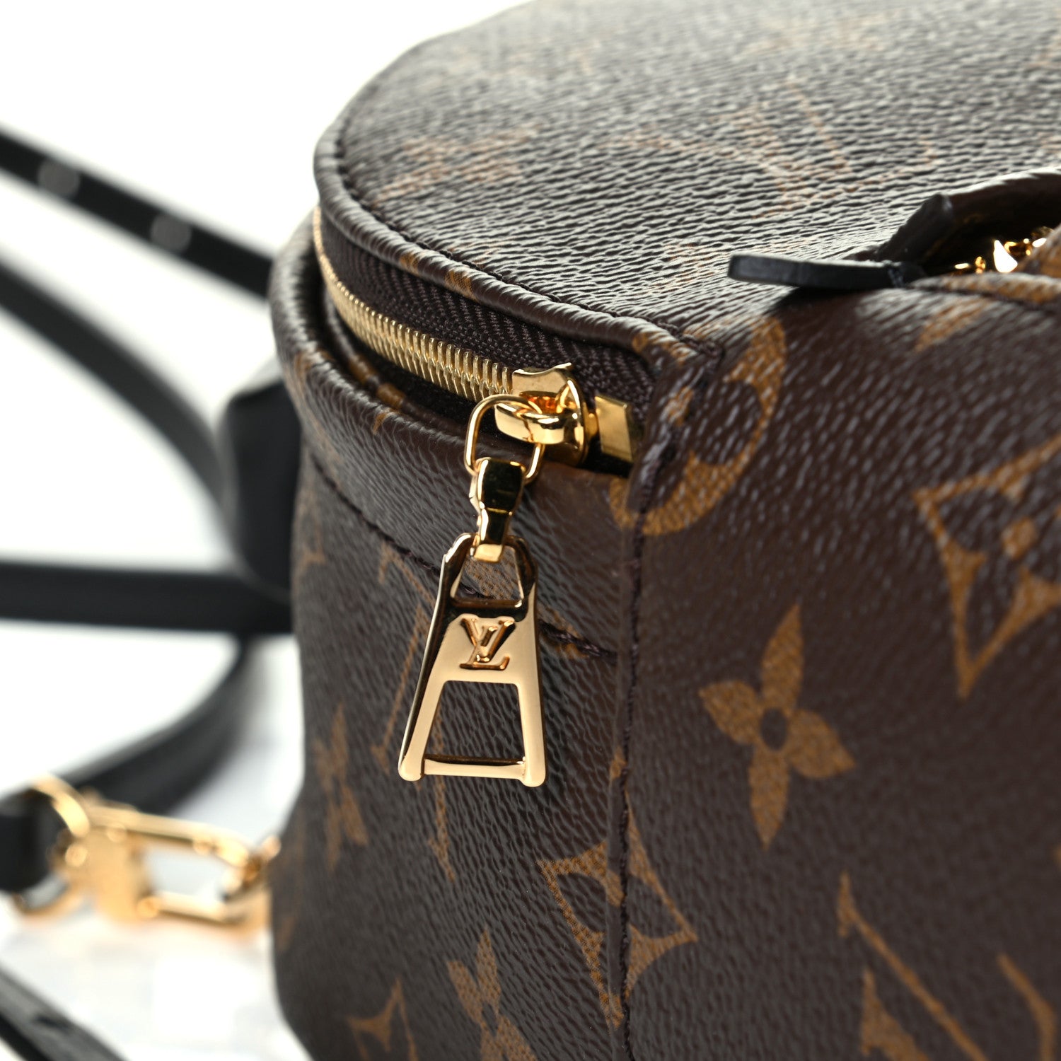 Louis Vuitton Monogram Palm Springs Backpack Mini 5 of 7