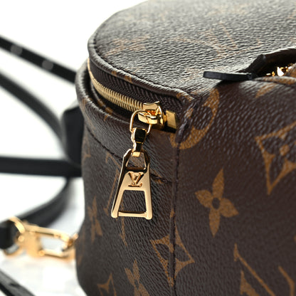 Louis Vuitton Monogram Palm Springs Backpack Mini 5 of 7
