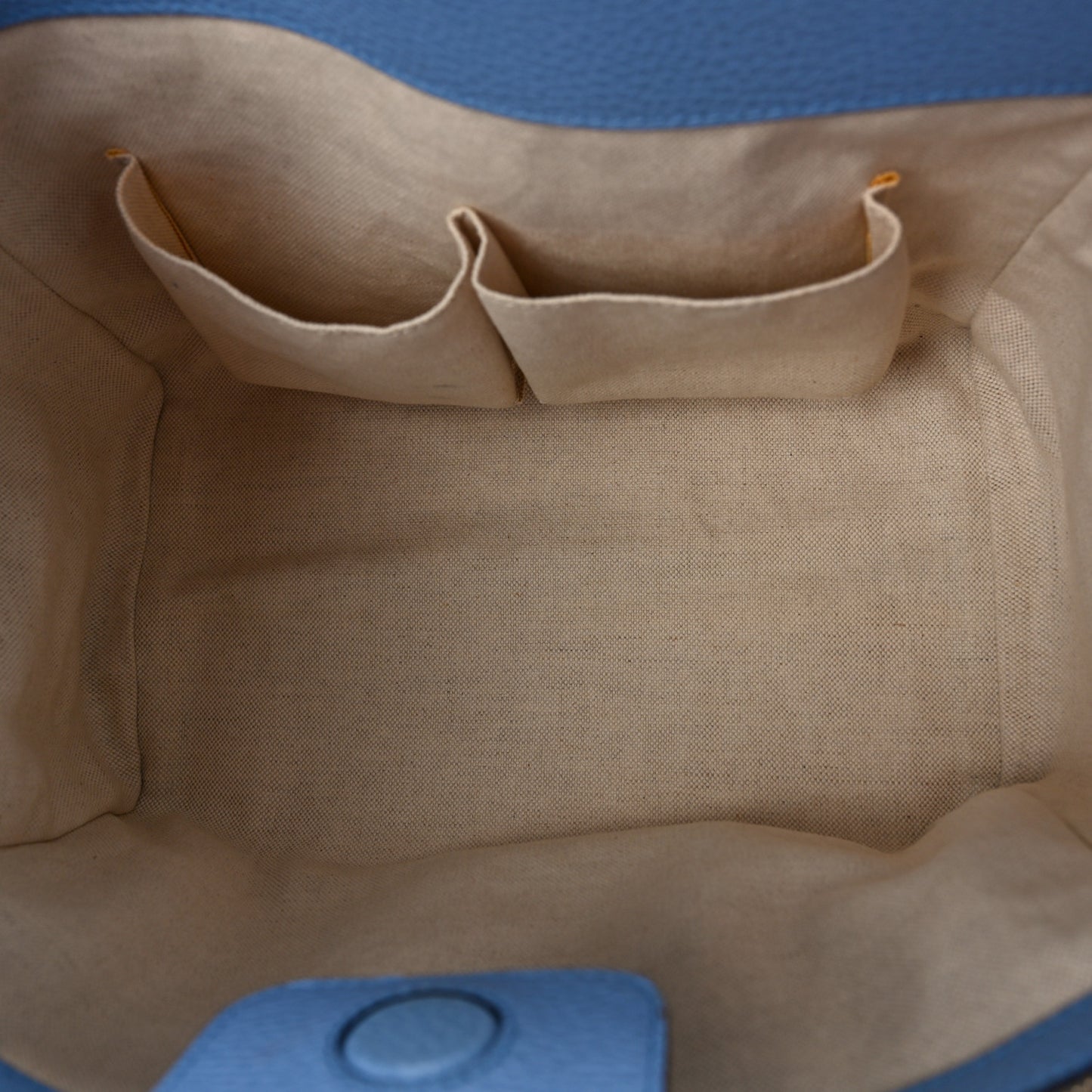 Dollar Calfskin Small Swing Tote Camelia Mineral Blue