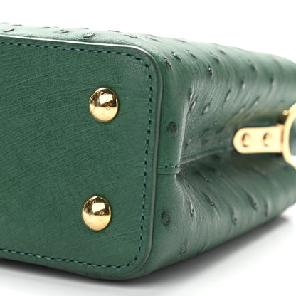 Louis Vuitton Ostrich Capucines Mini Mint 9 of 10