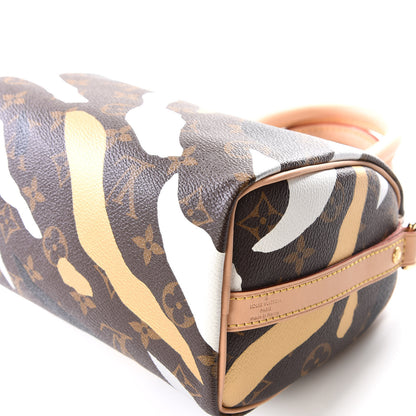 Louis Vuitton X LOL Monogram Speedy BB Gold Silver 8 of 11