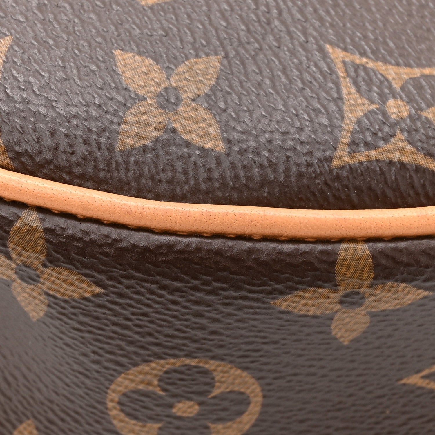 Louis Vuitton Monogram Loop 11 of 13