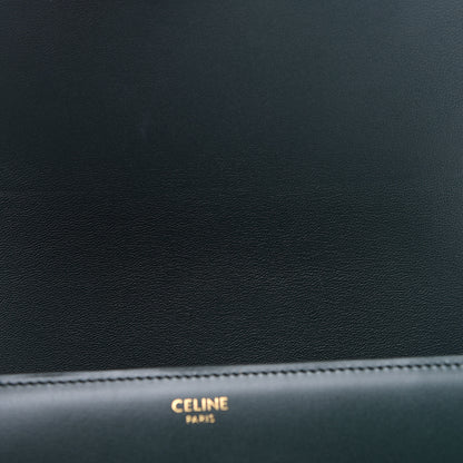 Celine Shiny Calfskin Medium Triomphe Amazone 11 of 14