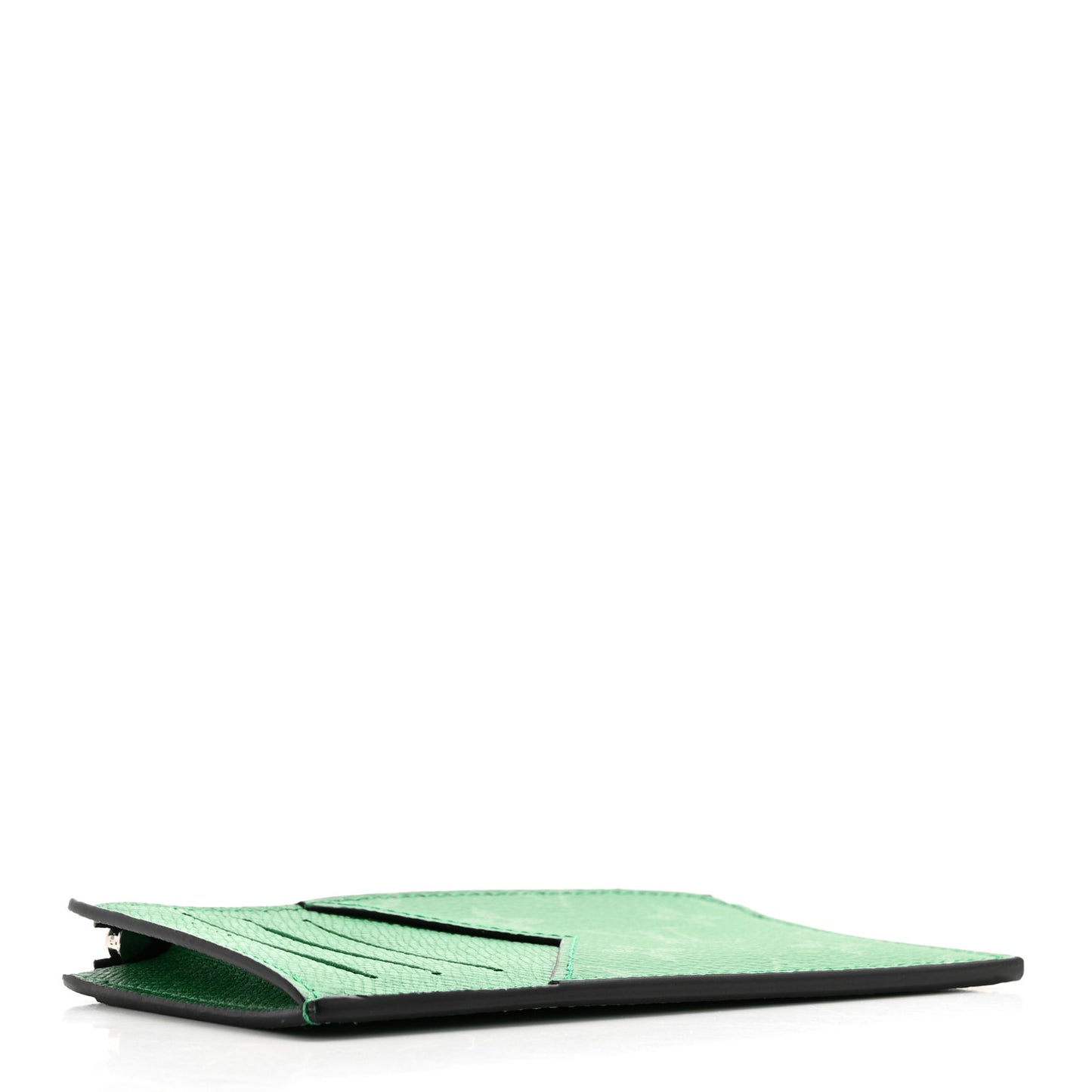 Taigarama Coin Card Holder Cactus Green