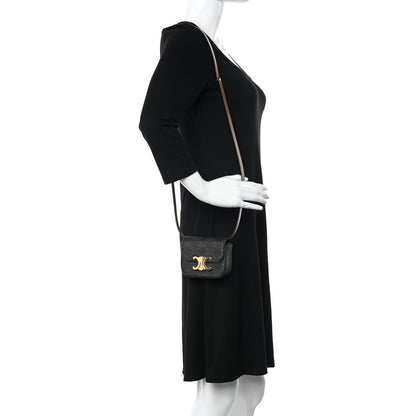 Celine Triomphe Canvas Calfskin Mini Claude Tan 2 of 9
