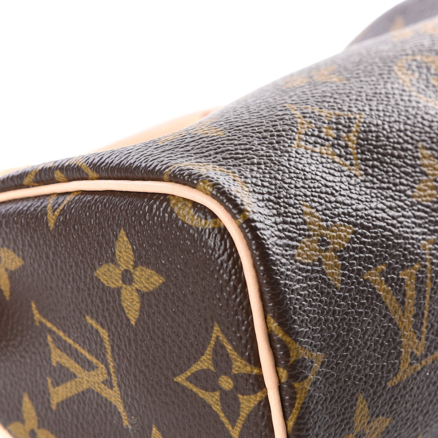 Monogram Mini Sac HL Speedy